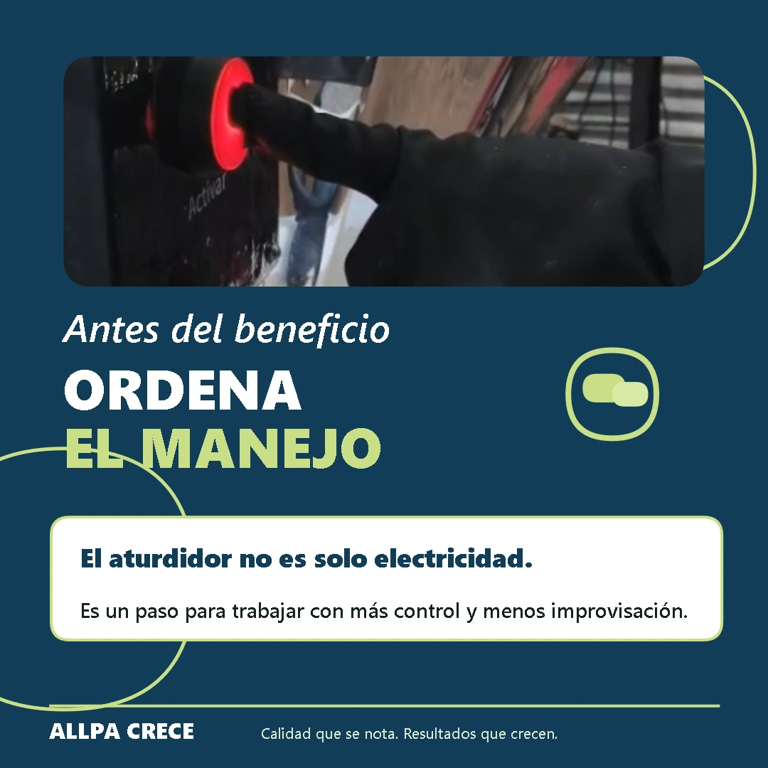 Anestesia electrica para ordenar el proceso