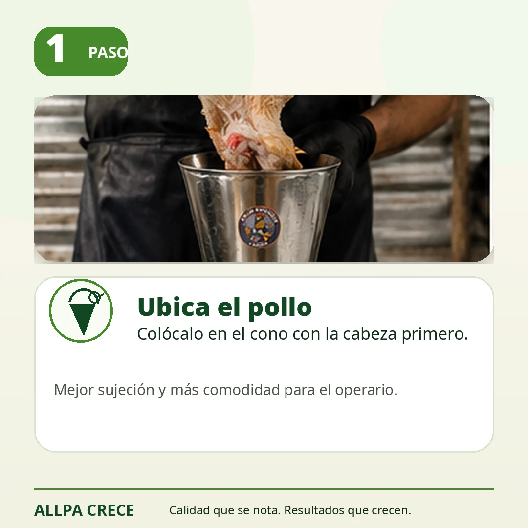 Paso 1 para usar conos de faenado Allpa Crece