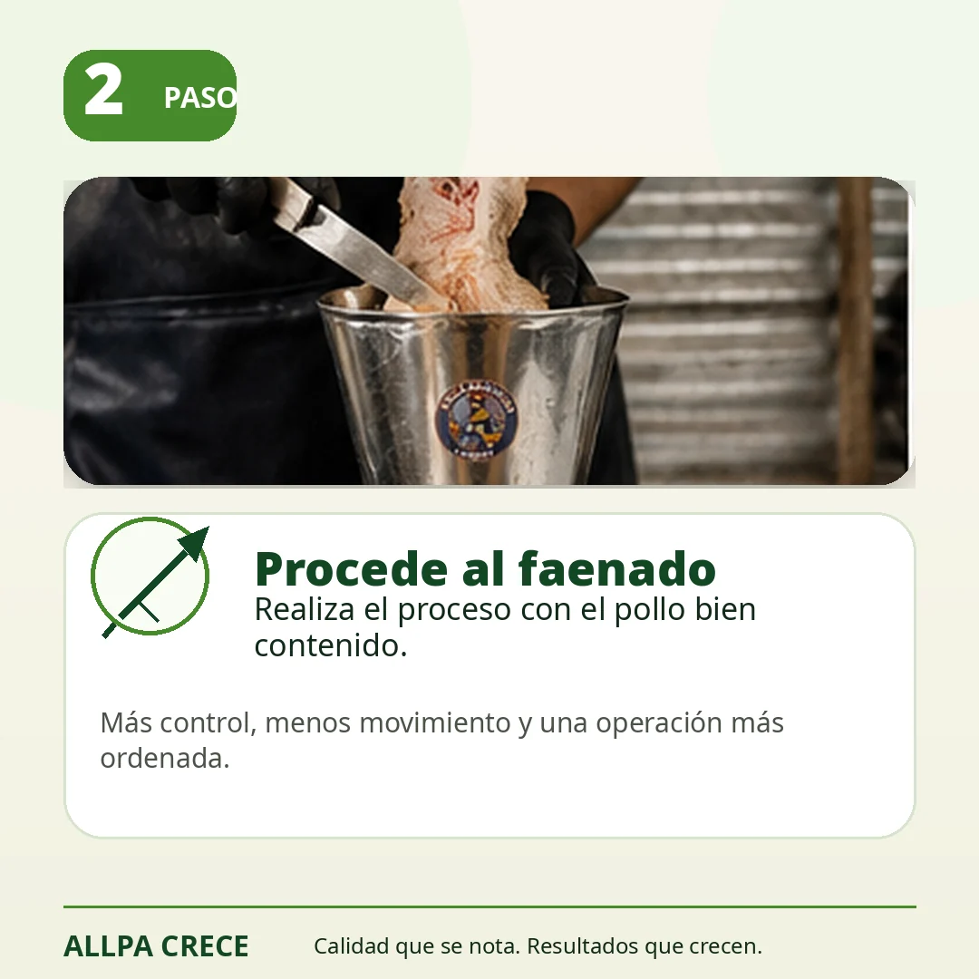 Paso 2 para trabajar con conos de faenado Allpa Crece