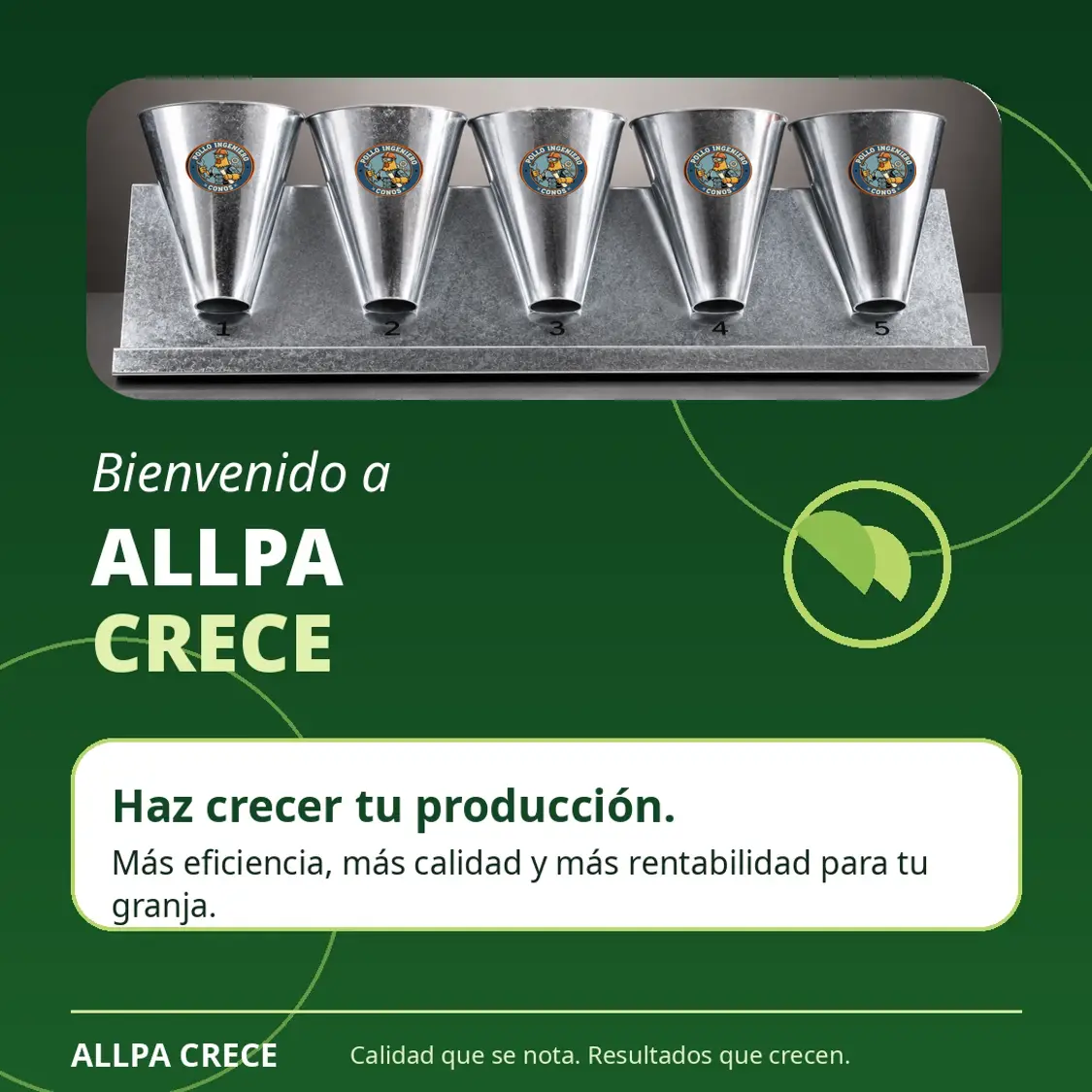 Bienvenido a Allpa Crece con conos de faenado